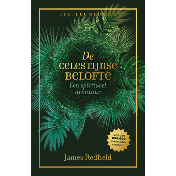 De Celestijnse belofte (Hardback) bij Singel 344