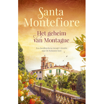 Het geheim van Montague (Paperback) bij Singel 344