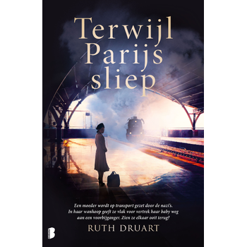 Terwijl Parijs sliep (Paperback) bij Singel 344