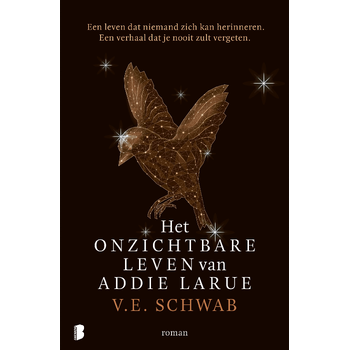 Het onzichtbare leven van Addie LaRue (Hardback) bij Singel 344