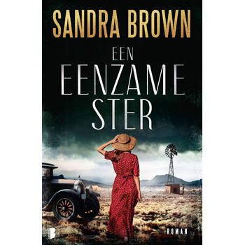 Een eenzame ster (Paperback) bij Singel 344