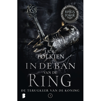 De terugkeer van de koning (Paperback) bij Singel 344