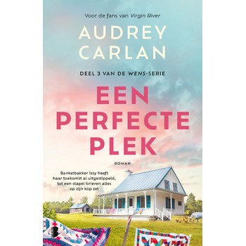 Een perfecte plek (Paperback) bij Singel 344