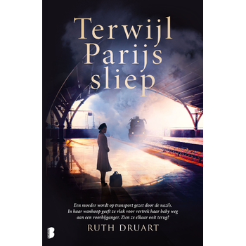 Terwijl Parijs sliep (Paperback) bij Singel 344