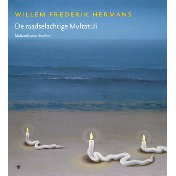 Volledige werken 17 (Hardback) bij Singel 344