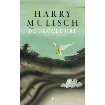 De procedure (Paperback) bij Singel 344