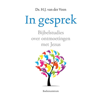 In gesprek (Paperback) van H.J. Veen