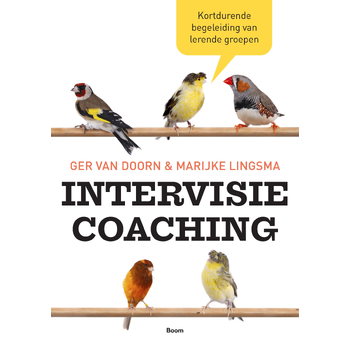 Intervisiecoaching (Paperback) bij Singel 344