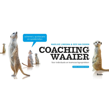 Coachingwaaier bij Singel 344
