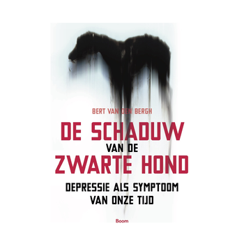 De schaduw van de zwarte hond (Paperback) bij Singel 344