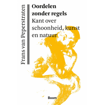 Oordelen zonder regels (Paperback) van Frans Peperstraten