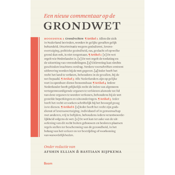 Een nieuw commentaar op de Grondwet (Hardback) bij Singel 344