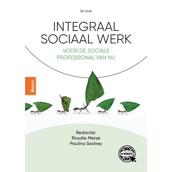Integraal sociaal werk (Paperback) bij Singel 344