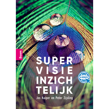 Supervisie inzichtelijk (Paperback) bij Singel 344