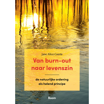 Van burn-out naar levenszin (Paperback) bij Singel 344