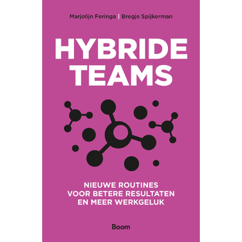 Hybride teams (Paperback) bij Singel 344