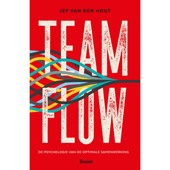 Teamflow (Paperback) bij Singel 344