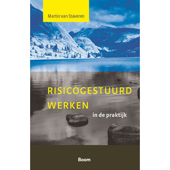 Risicogestuurd werken in de praktijk (Paperback) bij Singel 344