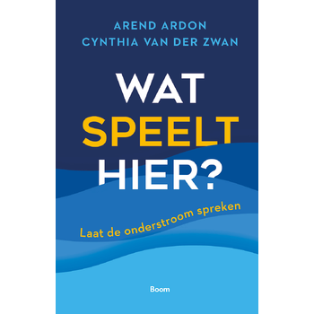 Wat speelt hier? (Hardback) bij Singel 344
