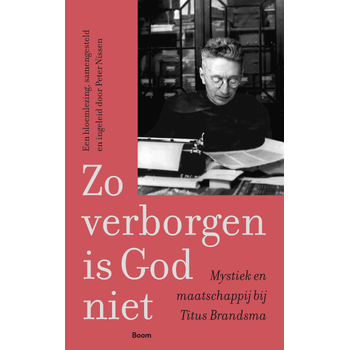 Zo verborgen is God niet (Paperback) bij Singel 344