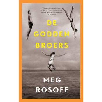 De Godden broers (Hardback) bij Singel 344