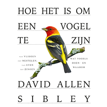 Hoe het is om een vogel te zijn (Hardback) bij Singel 344