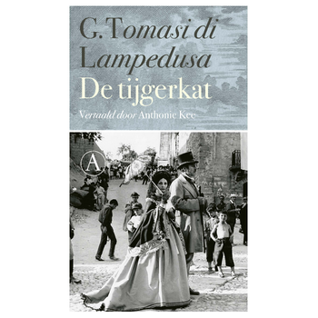 De tijgerkat (Paperback) bij Singel 344