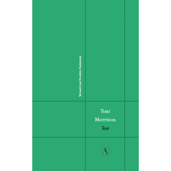 Teer (Hardback) bij Singel 344