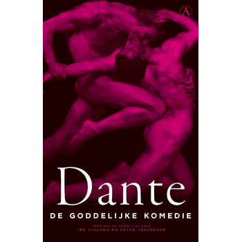 De goddelijke komedie (Hardback) bij Singel 344