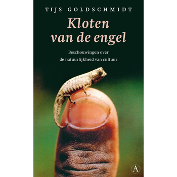 Kloten van de engel (Paperback) bij Singel 344