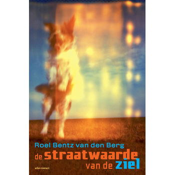 De straatwaarde van de ziel (Paperback) bij Singel 344