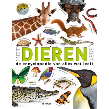 Het dierenboek (Hardback) bij Singel 344
