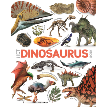 Het dinosaurusboek (Hardback) bij Singel 344