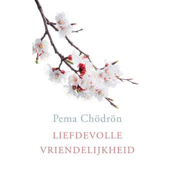 Liefdevolle vriendelijkheid (Paperback) bij Singel 344