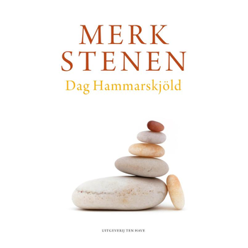 Merkstenen (Hardback) bij Singel 344
