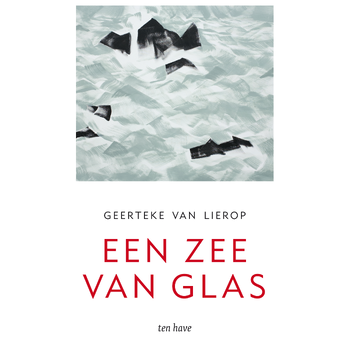 Een zee van glas (Paperback) bij Singel 344