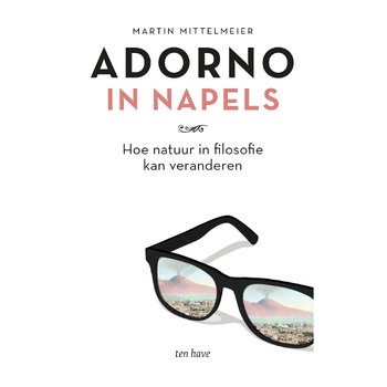 Adorno in Napels (Paperback) bij Singel 344
