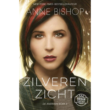 Zilveren zicht (Paperback) bij Singel 344