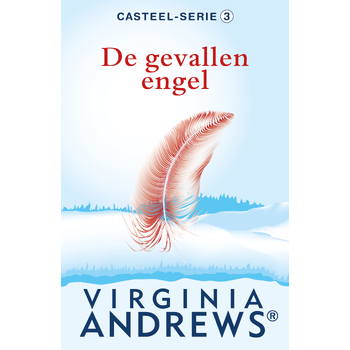 De gevallen engel (Paperback) bij Singel 344