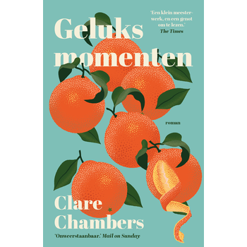 Geluksmomenten (Paperback) bij Singel 344