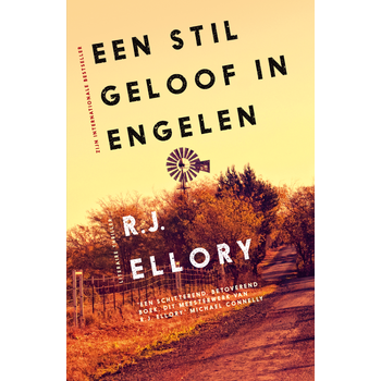 Een stil geloof in engelen (Paperback) bij Singel 344