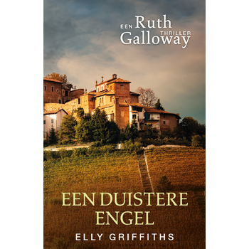 Een duistere engel (Paperback) bij Singel 344