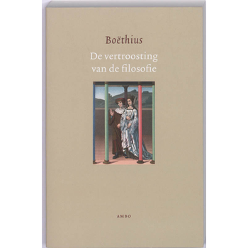De vertroosting van de filosofie (Paperback) bij Singel 344