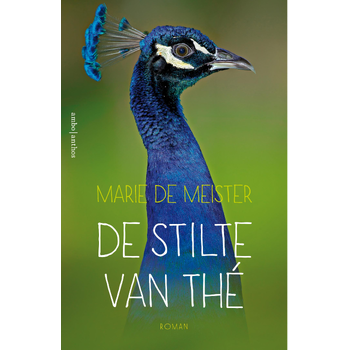 De stilte van Thé (Paperback) bij Singel 344