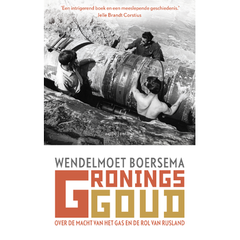Gronings goud (Paperback) van Wendelmoet Boersema