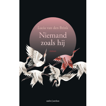 Niemand zoals hij (Paperback) bij Singel 344