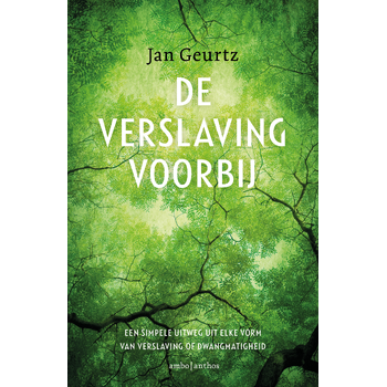 De verslaving voorbij (Paperback) van Jan Geurtz