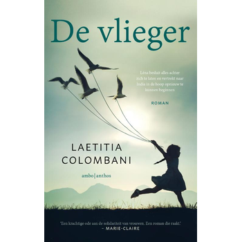 De vlieger (Paperback) bij Singel 344