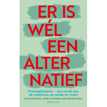 Er is wél een alternatief (Paperback) bij Singel 344