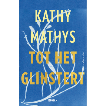 Tot het glinstert (Paperback) bij Singel 344